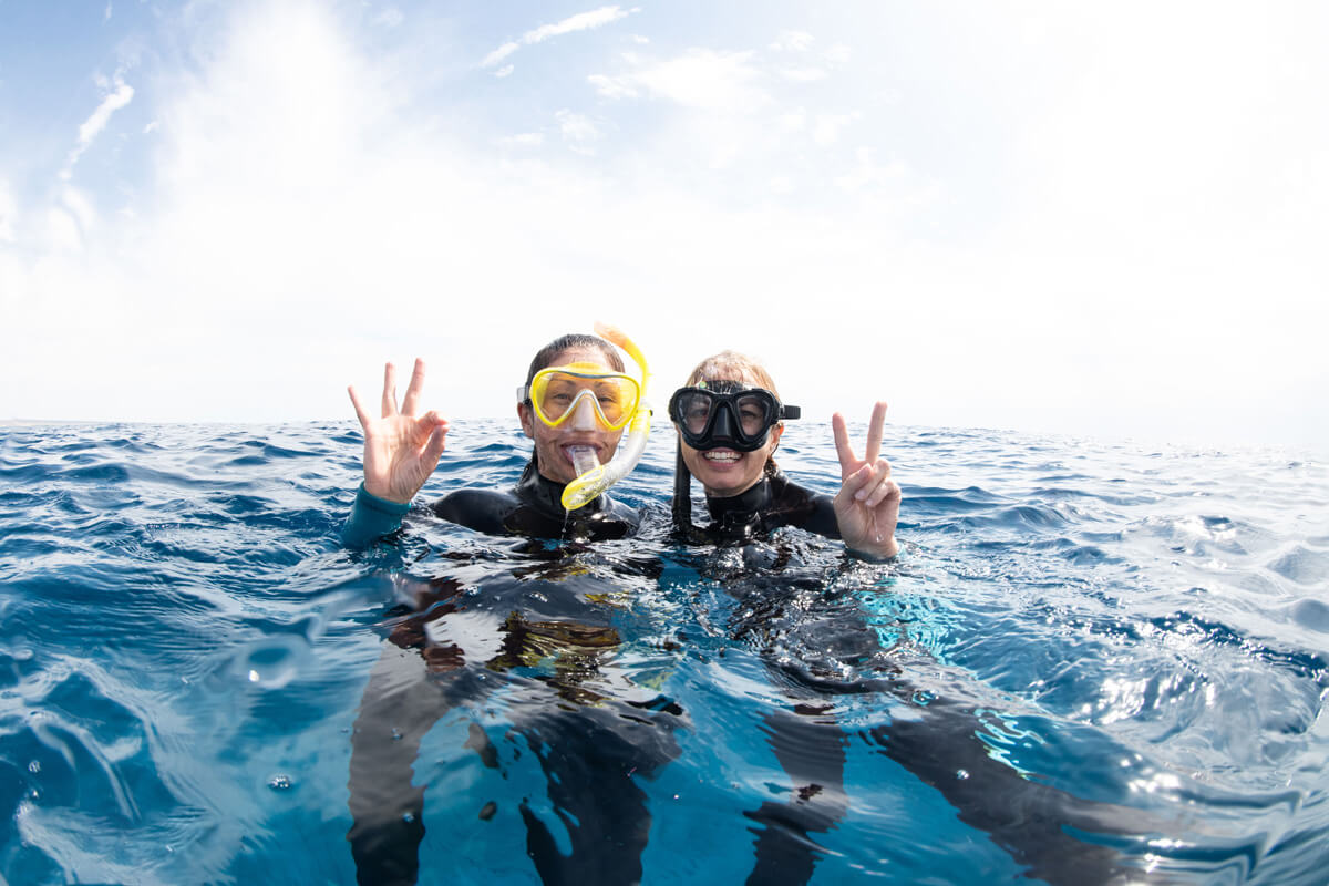 snorkeling with humpback whales