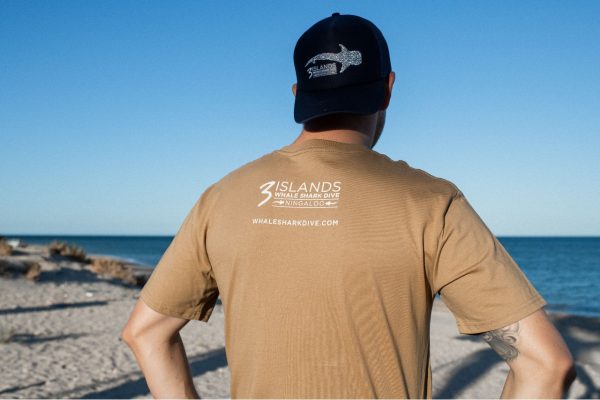 A man is seen from the back, wearing a cap and a brown t-shirt with the "3 Islands Whale Shark Dive" logo and website on it, standing on a beach facing the ocean.