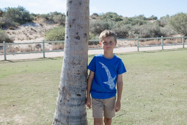 The same child from the previous image, now facing forward, wearing a blue T-shirt with a white whale shark design on the front.