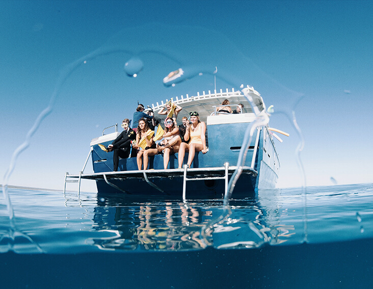 Three Islands Whale Shark Dive Exmouth