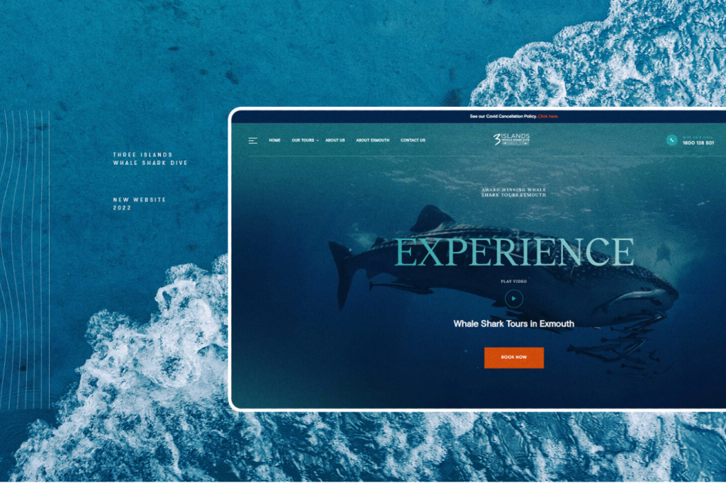 An image showing a website interface on a computer screen with a background of a whale shark underwater, promoting "Three Islands Whale Shark Dive" tours.