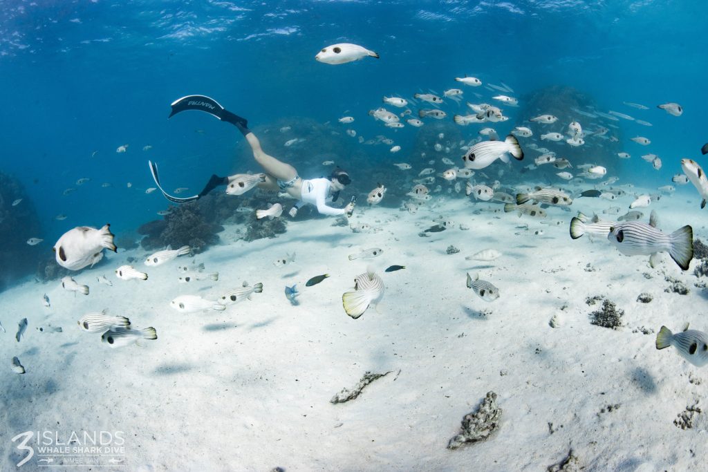 Snorkelling