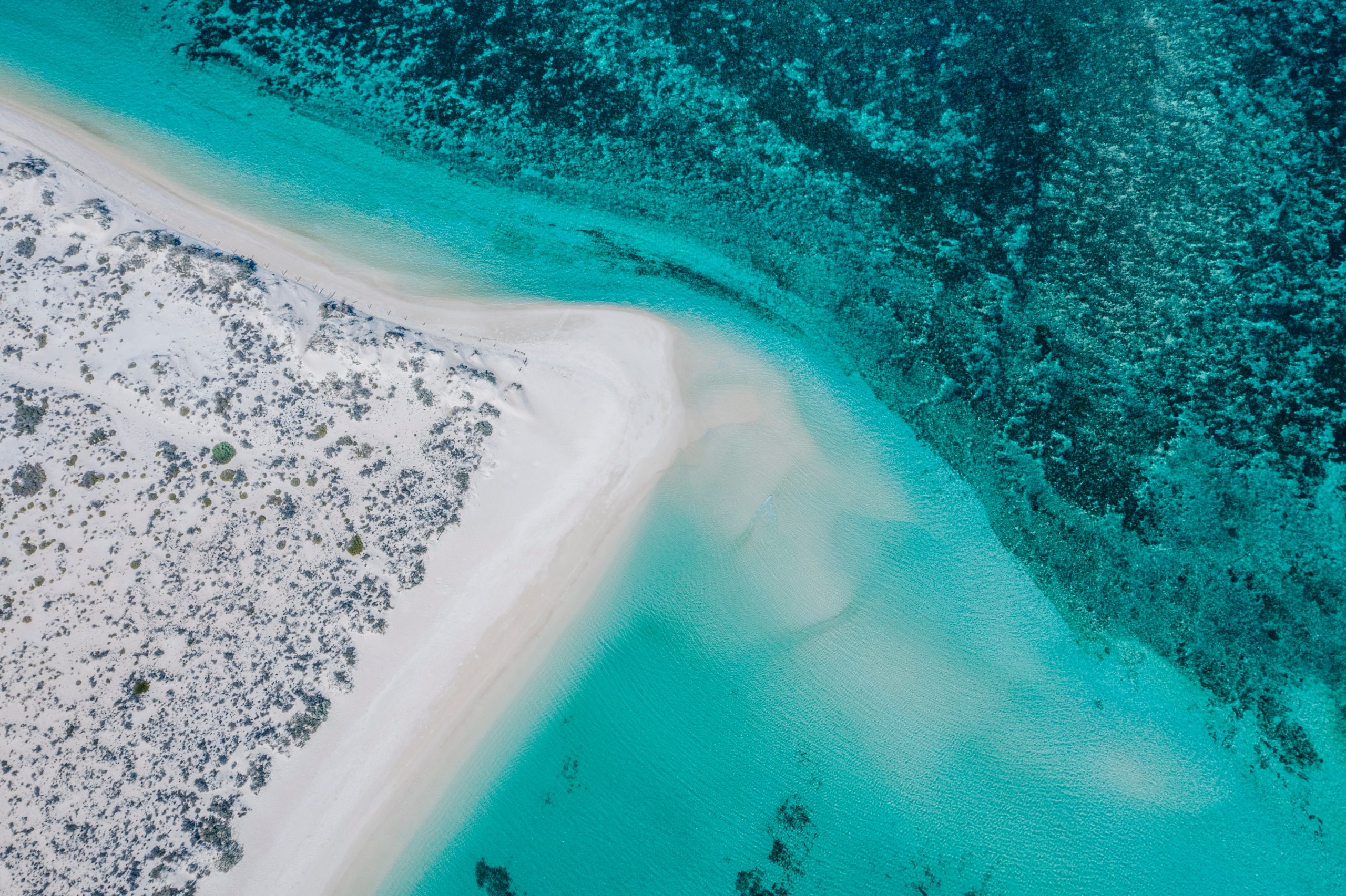 Turquoise bay
