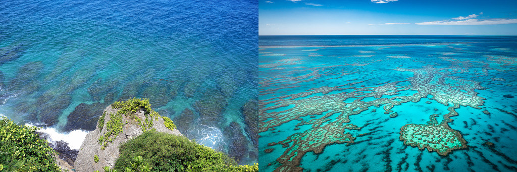 Fringing Reefs and Barrier Reefs