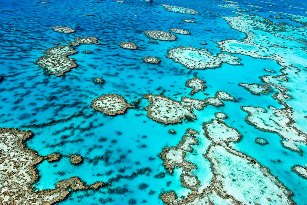 Great Barrier Reef Queensland