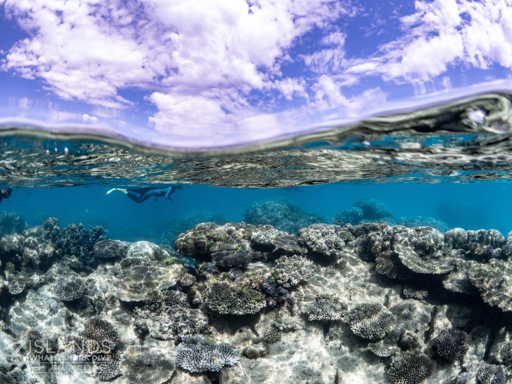 Half underwater shot of a coral reef with a diver in the distance and a cloudy sky above.