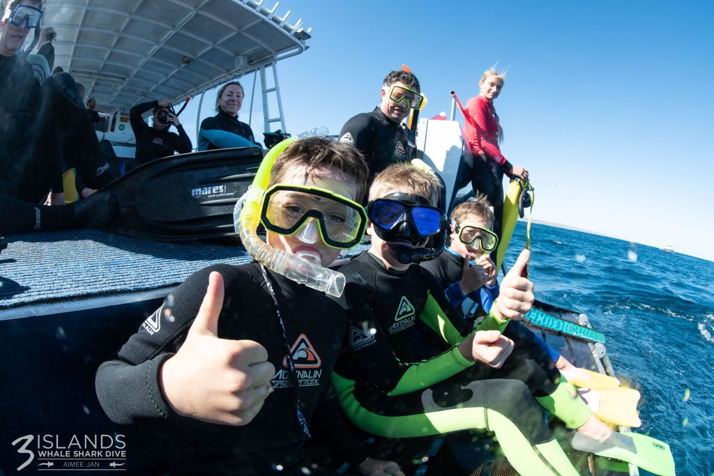 Swim with the Humpback Whales in Exmouth