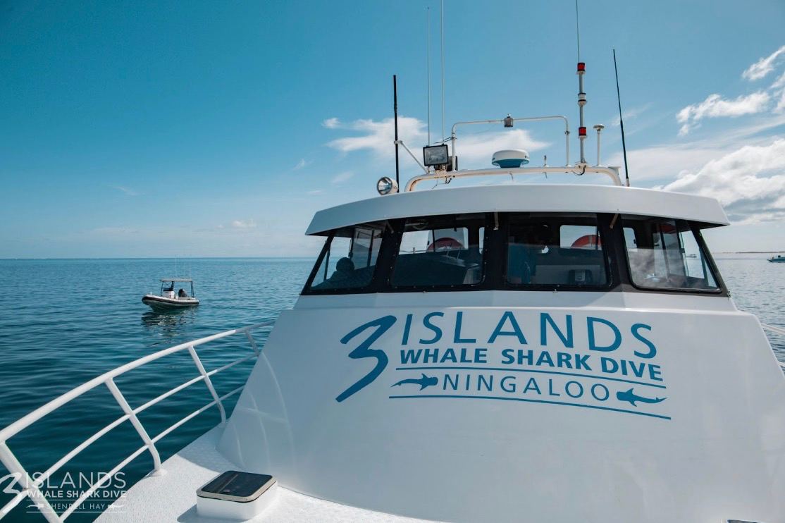 Whale watching boat with logo
