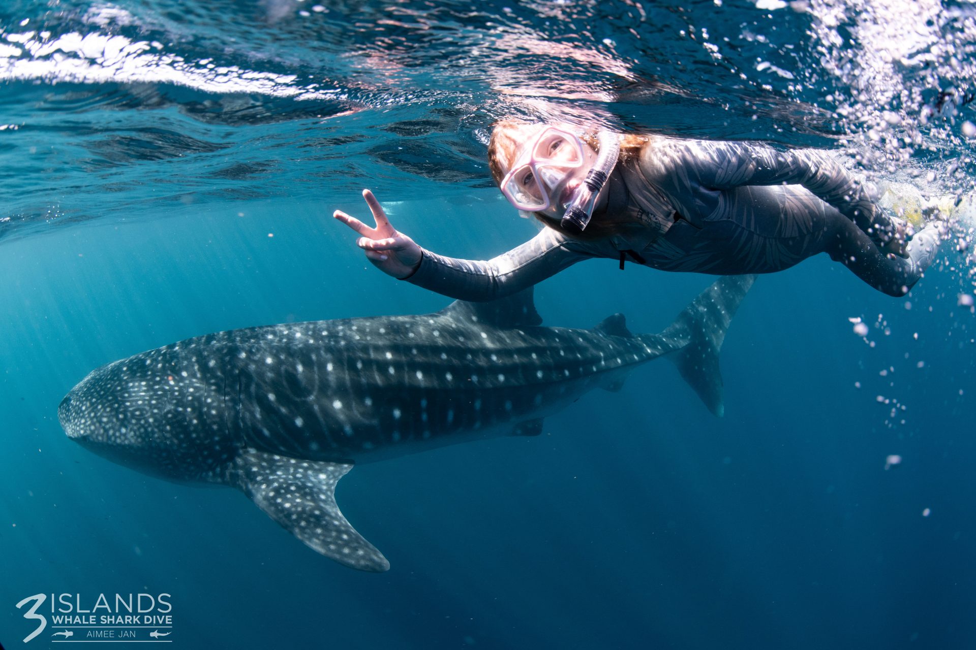 Epic Humpback Whale Songs