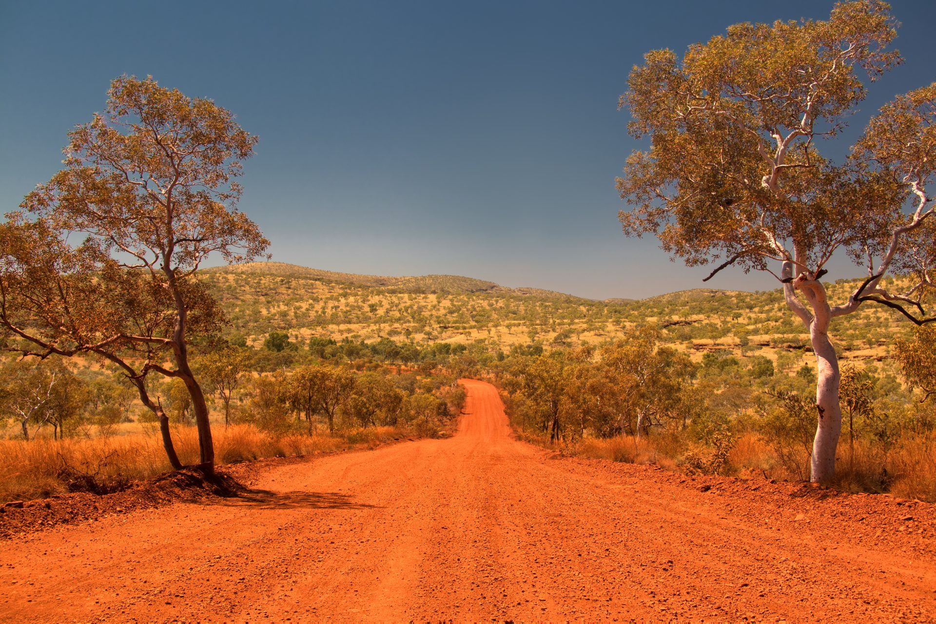 Red Dirt Road in the Australian Outback – Pilbara Region Landscape Red dirt road through the Australian outback, surrounded by trees and dry bushland under a blue sky.