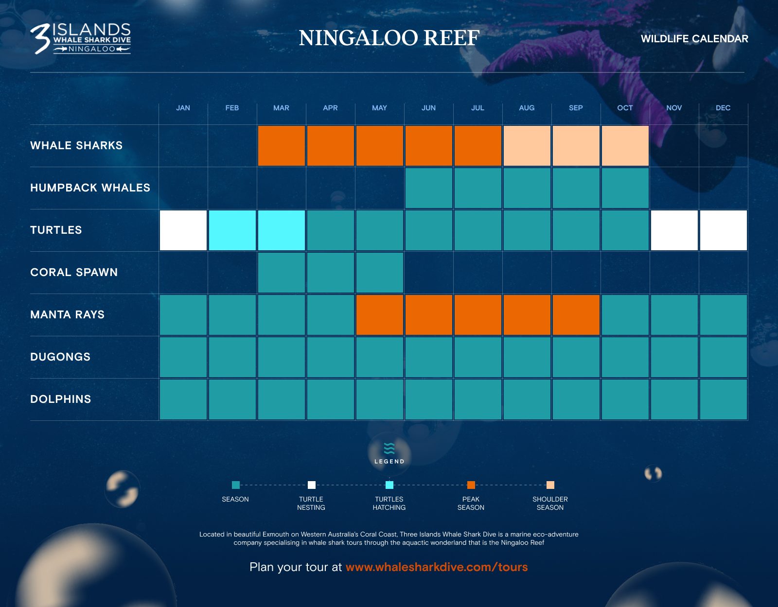 Three Islands Whale Shark Dive - New Calendar Three Islands Whale Shark Dive - New Calendar