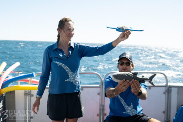 ECOCEAN Whale Shark toy - Image 4