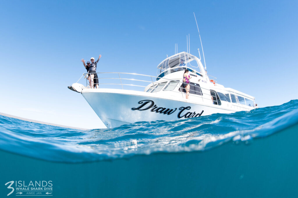 Beautiful View of the Service Yacht of Whale Shark Tours Exmouth
