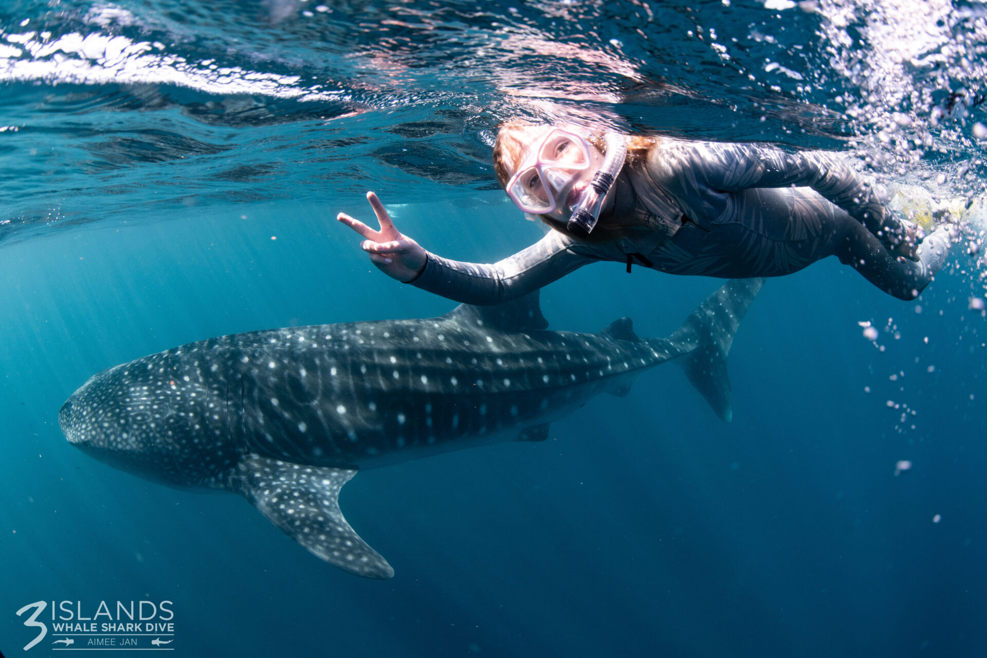 A snorkeller wearing a full-face mask swims alongside a whale shark in clear blue ocean water, holding up a peace sign near the surface.