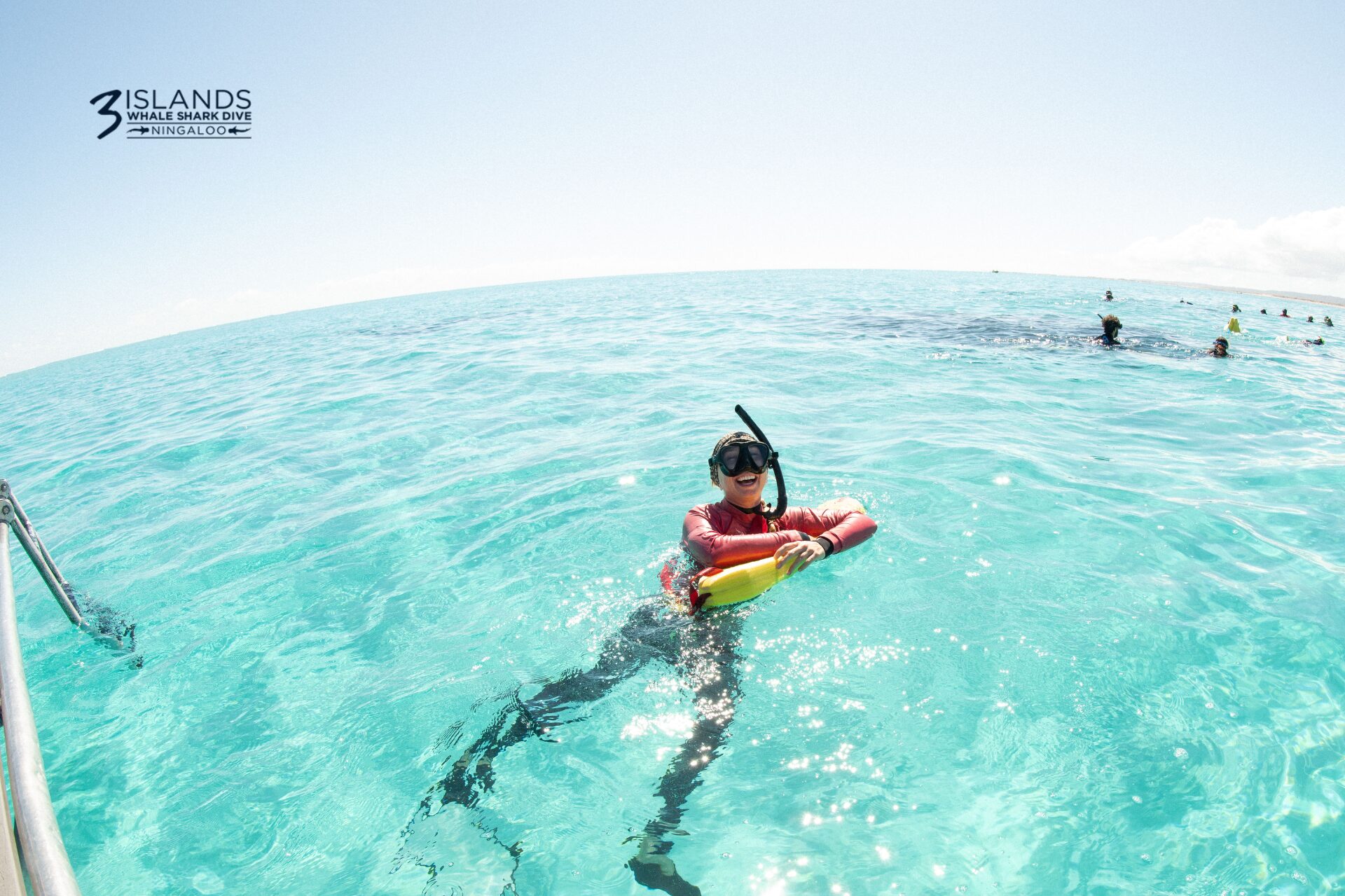 humpback whale tour exmouth