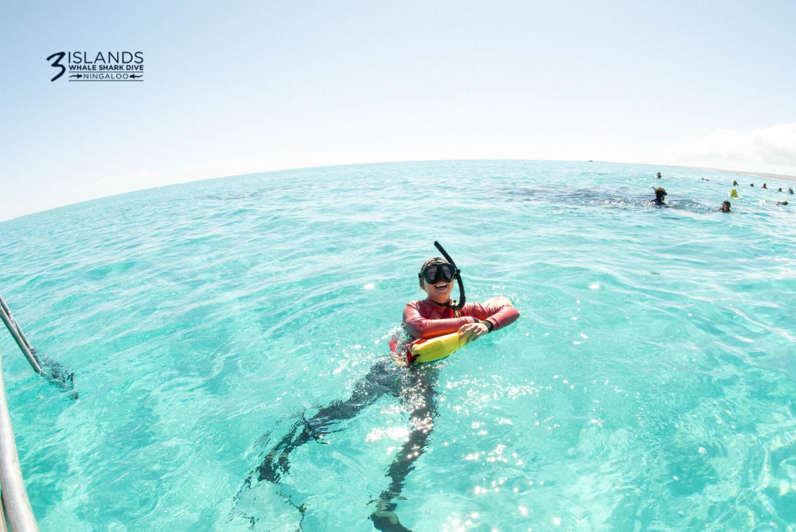 Guest snorkelling in clear waters on a private Ningaloo Reef charter