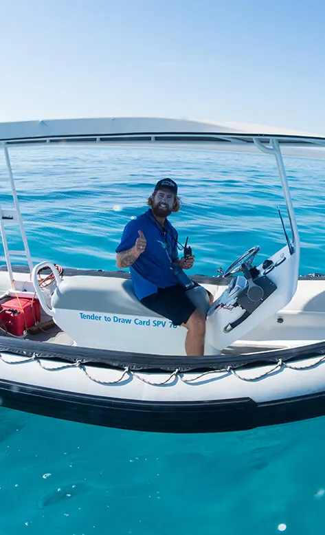 Guide on a tender boat during a swim with whale sharks Exmouth tour in clear turquoise waters Guide on a tender boat during a swim with whale sharks Exmouth tour in clear turquoise waters
